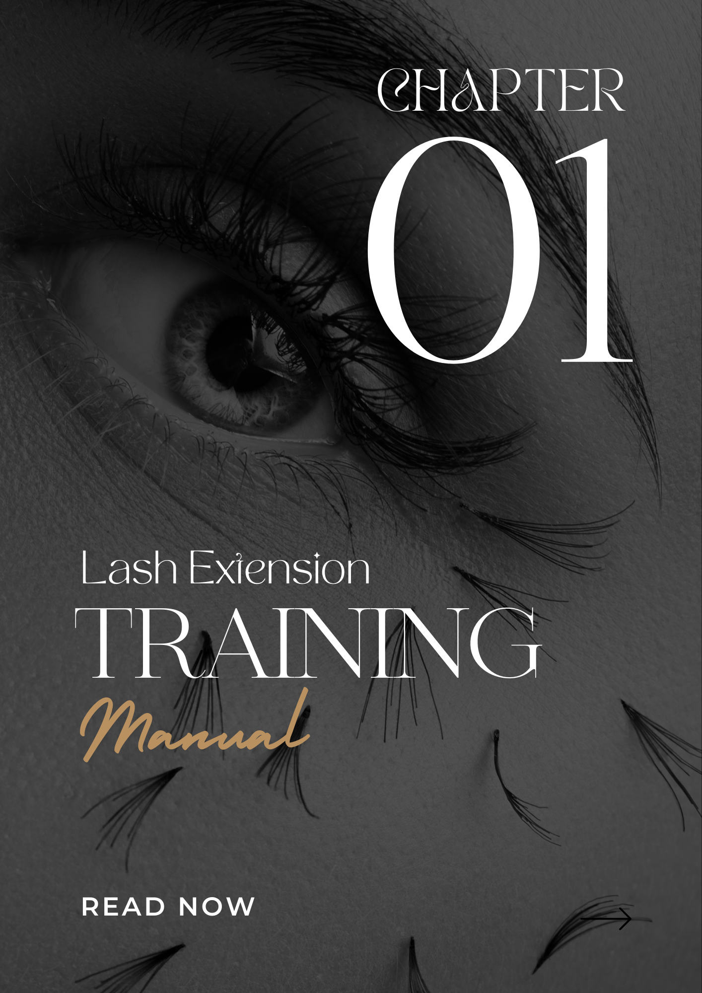 Lash Extension Masterclass: A Proven Step-by-Step System